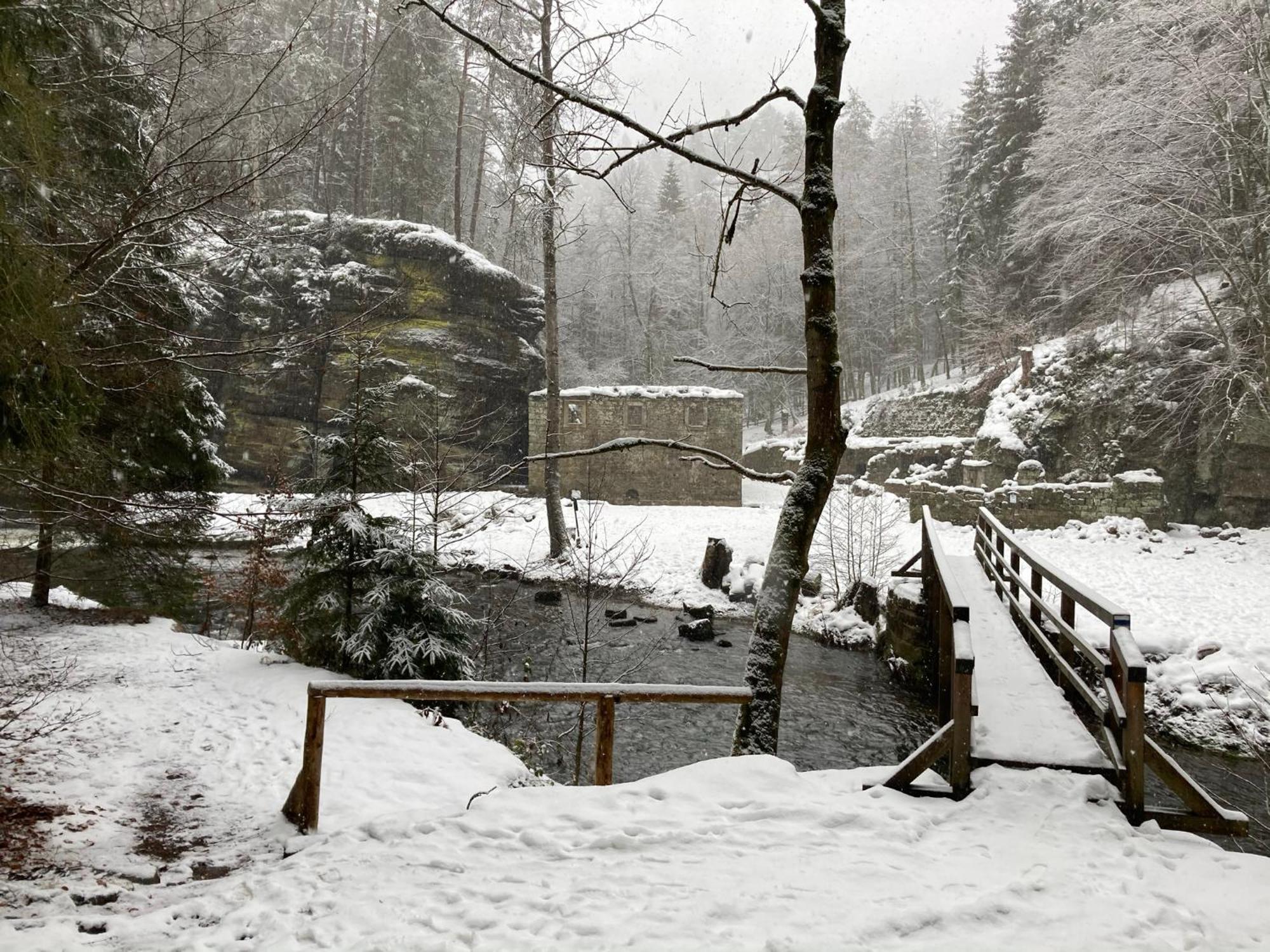 Pension Hofberg Jetrichovice  Bagian luar foto