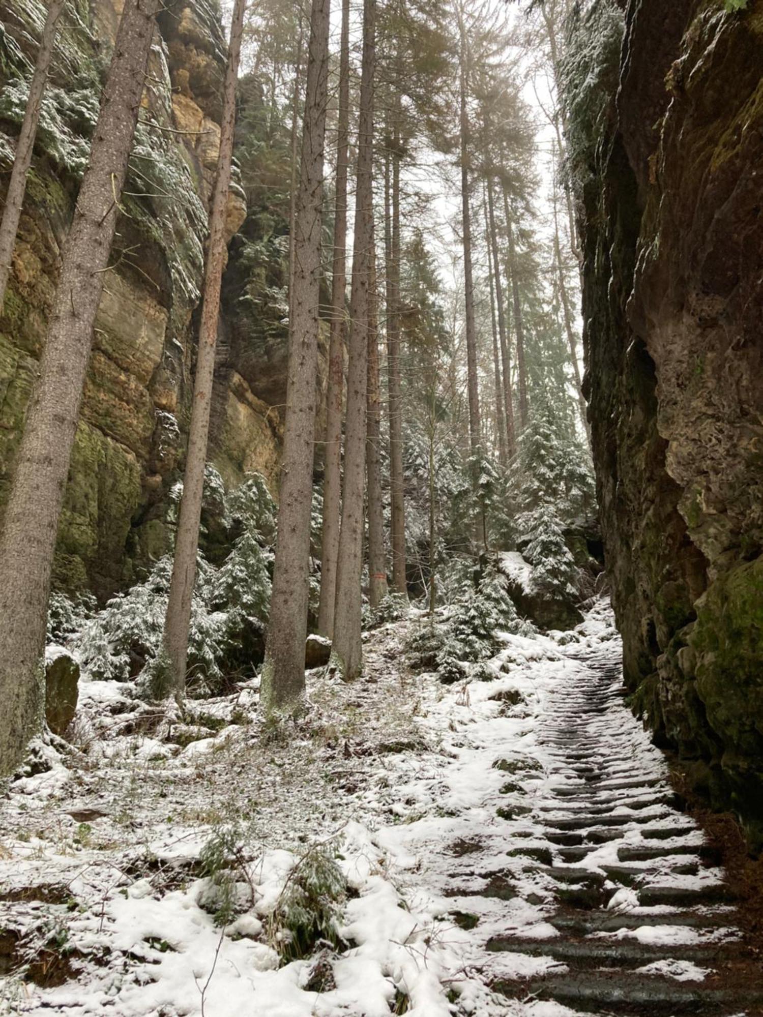 Pension Hofberg Jetrichovice  Bagian luar foto