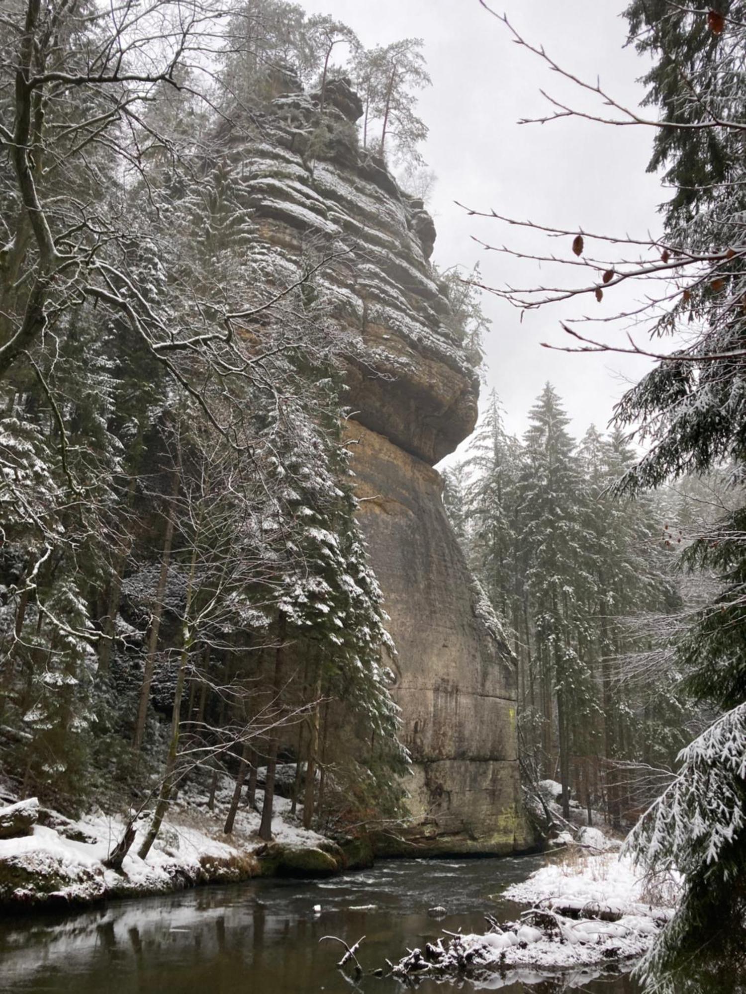Pension Hofberg Jetrichovice  Bagian luar foto